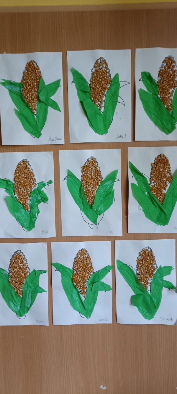 Kukurydza- wyklejanie ziarnami kukurydzy