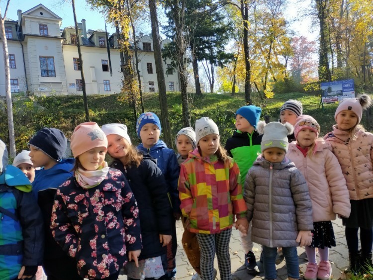 Moja miejscowość - Nawojowa