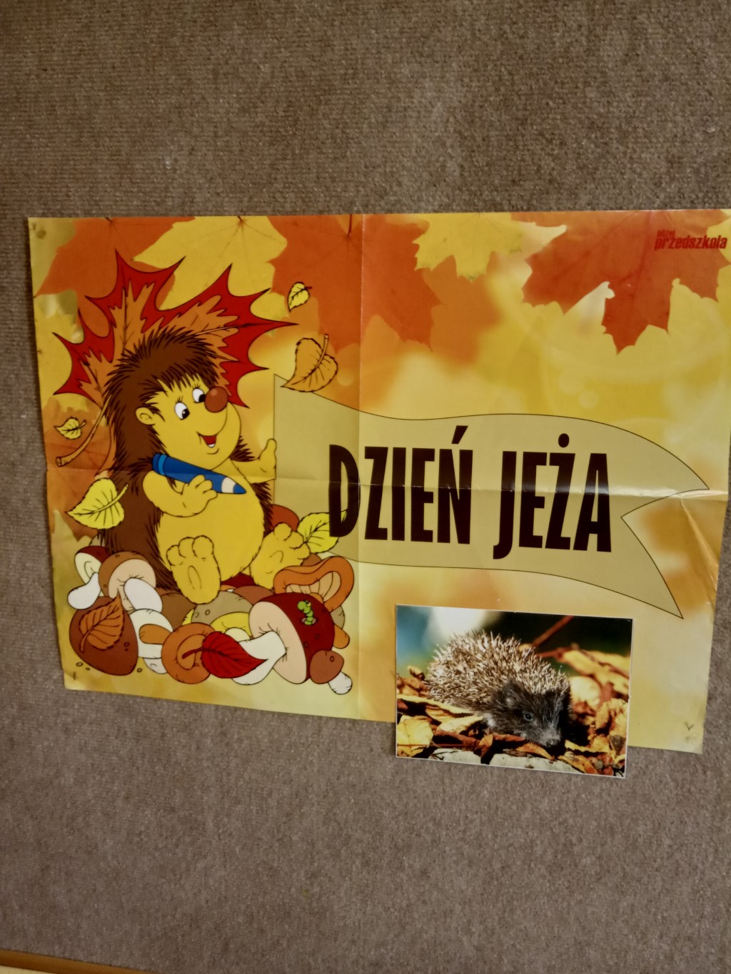 Dzień Jeża